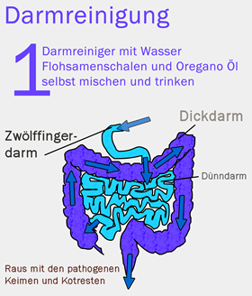 Darmreinigungskur Meine Erfahrungen Mit Flohsamenschalen Co Darmsanierung