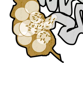 Dickdarmbakterien kommen in den Dünndarm. MIt einer Darmsanierung kann man diese wieder zurückdrängen.